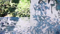 image_jardin.png