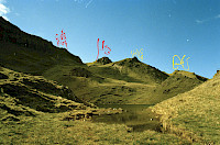 0017731930_10.jpg