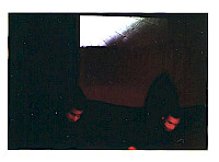 0011896997_20.jpg